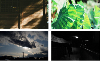 東京国際大学 写真部冬の学外展示 2020