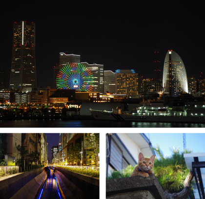 國學院大學春季写真展