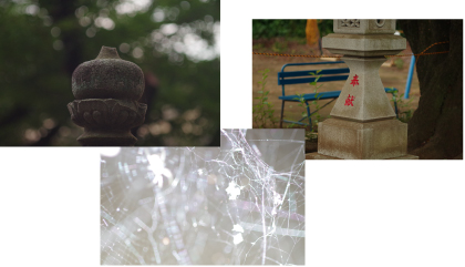 東京国際大学 写真部夏の学外展 2018