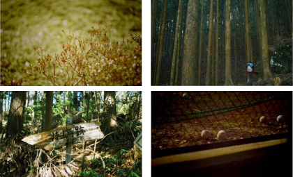 東京国際大学 写真部冬の学外展示 2019